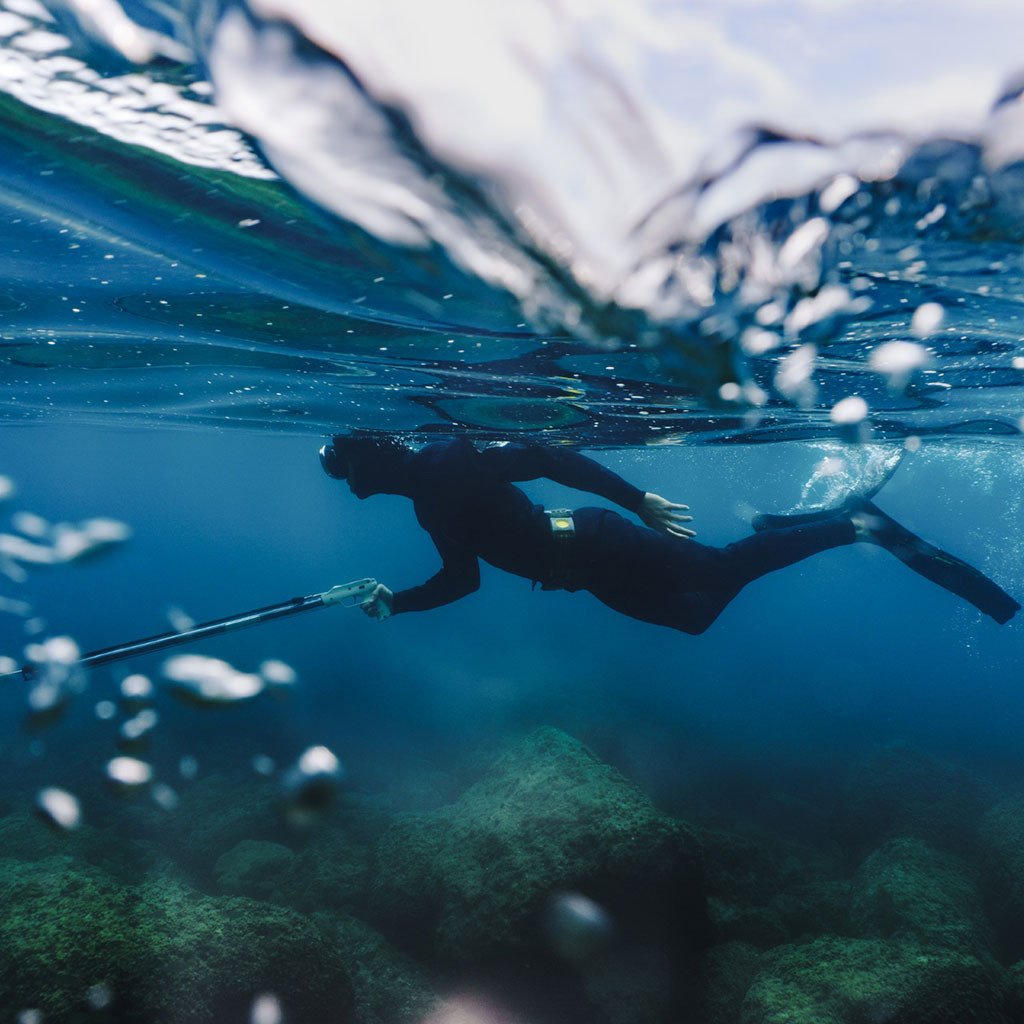 Ninepin-spearfishing-freediving-wetsuit-underwater.jpg