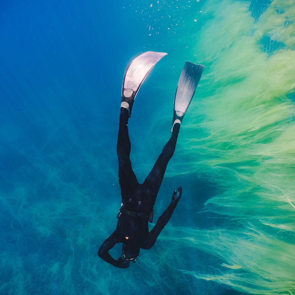spearfishing-wetsuit-underwater.jpg