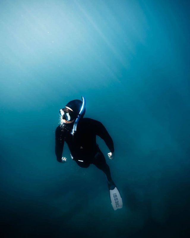 @tazformosa
---
The best place to escape to when everywhere else is chaos.
.
.
.
@aquatech_imagingsolutions
@ninepin_wetsuits
@woebegone_freedive
@immersiafreediving
@sonyaustralia
@sonyalpha_au
.
#freediving #dive #diving #oceanlover #wildlife #aquatech #freedive #diver #depth #underwaterphotography #freediver #underwater #saveouroceans #apnea #fisharefriendsnotfood #underwaterdreaming